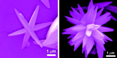 Graphical abstract: Synthesis and formation process of SrSO4 sisal-like hierarchical structures at room temperature