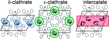 Graphical abstract: Three different co-crystalline phases of syndiotactic polystyrene with a nitroxide radical