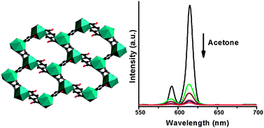 Graphical abstract: In situ 2,5-pyrazinedicarboxylate and oxalate ligands synthesis leading to a microporous europium–organic framework capable of selective sensing of small molecules