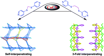 Graphical abstract: Two new coordination polymers with multiform helical features based on flexible dithioether ligands and CuCN: from self-penetrating to 3-fold interpenetrating structures