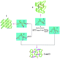 Graphical abstract: Four novel topological frameworks based on 4,4′-(hexafluoroisopropylidene)diphthalic acid and 1,1′-(1,4-butanediyl)bis(imidazole) ligand