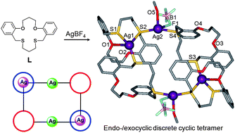 Graphical abstract: Anion-directed supramolecular silver(i) complexes of an O2S2-macrocycle: cyclic oligomer and 2-D coordination polymers