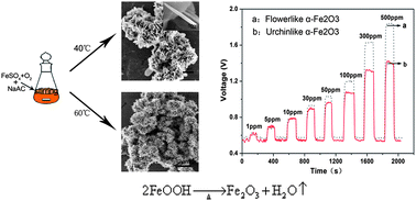 Graphical abstract: Flexible morphology-controlled synthesis of mesoporous hierarchical α-Fe2O3 architectures and their gas-sensing properties