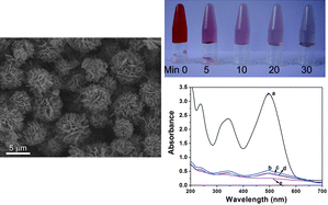 Graphical abstract: Hierarchically structured Fe3O4 microspheres: morphology control and their application in wastewater treatment