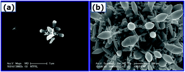 Graphical abstract: Self-catalytic growth of indium oxide flower-like nanostructures by nano-cluster deposition (NCD) at low temperature