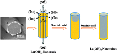 Graphical abstract: Controllable growth of La(OH)3 nanorod and nanotube arrays