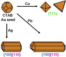 Graphical abstract: Selective exposition of high and low density crystal facets of gold nanocrystals using the seeded-growth technique