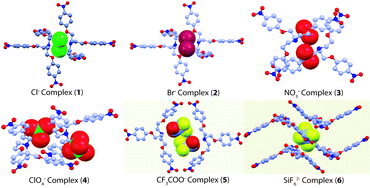 Graphical abstract: A subtle interplay of C–H hydrogen bonds in complexation of anions of varied dimensionality by a nitro functionalized tripodal podand