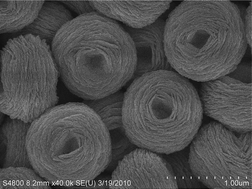 Graphical abstract: Persimmon-like (BiO)2CO3 microstructures: hydrothermal preparation, photocatalytic properties and their conversion into Bi2S3