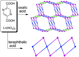 Graphical abstract: Tuning the porosity of lanthanide MOFs with 2,5-pyrazinedicarboxylate and the first in situ hydrothermal carboxyl transfer