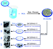 Graphical abstract: Novel inorganic precursor in the controlled synthesis of zinc blend ZnS nanoparticlesviaTGA-assisted hydrothermal method