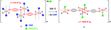 Graphical abstract: Thermally induced crystal-to-crystal transformations accompanied by changes in the magnetic properties of a CuII-p-hydroquinonate polymer