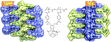 Graphical abstract: When a host becomes a guest—competition between decreasing hydrophobic spaces and supramolecular synthon propagation