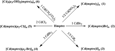 Graphical abstract: Syntheses, structures and properties of coordination polymers of cadmium(ii) with 4-methyl-1,2,4-triazole-3-thiol ligand