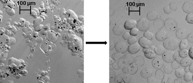 Graphical abstract: Controlling RDX explosive crystallite morphology and inclusion content via simple ultrasonic agitation and solvent evaporation