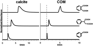 Graphical abstract: Chromatographic determination of impurity binding affinities on biomineral crystals