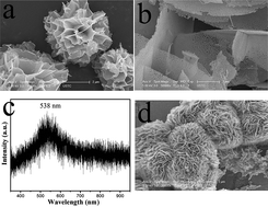 Graphical abstract: An environment-benign solvothermal method for the synthesis of flower-like hierarchical nickel and zinc compounds and their transformation to nanoporous NiO and ZnO