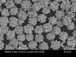 Graphical abstract: 3-D flower-like NiCo alloy nano/microstructures grown by a surfactant-assisted solvothermal process