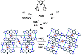 Graphical abstract: Anion directed supramolecular architectures of silver(i) complexes with 1,3-bis(imidazol-1-ylmethyl)-2,4,6-trimethylbenzene and a reversible, solvent-induced structural change during a single-crystal-to-single-crystal transformation