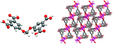 Graphical abstract: Coordination polymers of flexible tetracarboxylic acids with metal ions. I. Synthesis of CH2- and (CH2)2-spaced bis(oxy)isophthalic acid ligands, and structural characterization of their polymeric adducts with lanthanoid ions