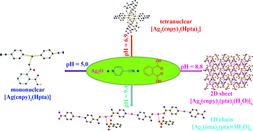 Graphical abstract: pH-Dependent Ag(i) coordination architectures constructed from 4-cyanopyridine and phthalic acid: from discrete structure to 2D sheet