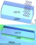 Graphical abstract: Modeling the morphology of benzoic acid crystals grown from aqueous solution