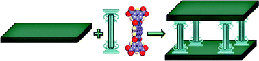 Graphical abstract: Cocrystal controlled solid-state synthesis of a rigid tetracarboxylate ligand that pillars both square grid and Kagomé lattice layers