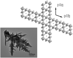 Graphical abstract: Hydrothermal synthesis, characterization and growth mechanism of single crystal lead titanate pyrochlore dendrites