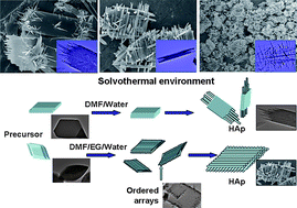 Graphical abstract: Surfactant-free solvothermal synthesis of hydroxyapatite nanowire/nanotube ordered arrays with biomimetic structures