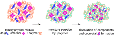 Graphical abstract: Dependence of cocrystal formation and thermodynamic stability on moisture sorption by amorphous polymer