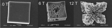 Graphical abstract: Morphology of magneto-electrodeposited Cu2O microcrystals