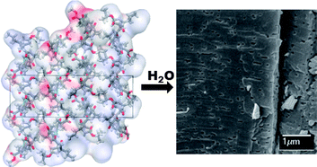 Graphical abstract: Fabrication of nanoporous material from a hydrophobic peptide