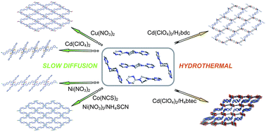 Graphical abstract: Self-adaptation of a conformationally flexible yet restricted “piperazine-pyrazine” building block toward the design of coordination polymers