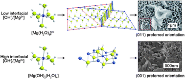 Graphical abstract: Formation mechanism for planes (011) and (001) oriented Mg(OH)2 films electrodeposited on SnO2 coating glass