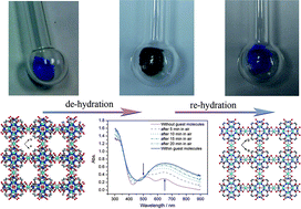 Graphical abstract: A robust porous PtS-type Cu(ii) metal–organic framework: single-crystal-to-single-crystal transformation with reversible guest intercalation accompanied by colour change