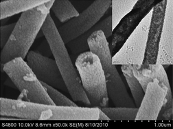 Graphical abstract: Fabrication of CoFe2O4 hollow fibers by direct annealing of the electrospun composite fibers and their magnetic properties