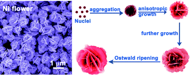 Graphical abstract: Nickel flower-like nanostructures composed of nanoplates: one-pot synthesis, stepwise growth mechanism and enhanced ferromagnetic properties