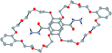 Graphical abstract: A new hydrogen bonding motif involved in self-recognition in the solid state by functionalised macrocycles