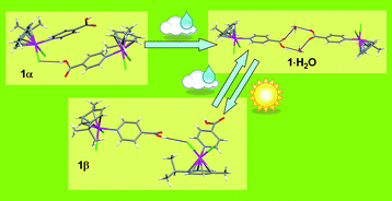 Graphical abstract: Water vapour uptake and extrusion by a crystalline metallorganic solid based on half-sandwich Ru(ii) building-blocks