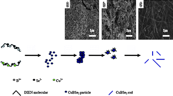 Graphical abstract: Retracted Article: Self-assembled chalcopyrite ternary semiconductor CuBSe2 nanocrystals: solvothermal synthesis and characterisation