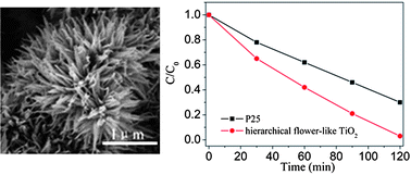 Graphical abstract: 3D hierarchical flower-like TiO2 nanostructure: morphology control and its photocatalytic property