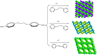 Graphical abstract: Structural variability of Co(ii) and Ni(ii) entangled metal–organic frameworks: effect of N-donor ligands and metal ions