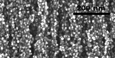 Graphical abstract: Botryoidal growth of crystalline ZnO nanoparticles on a forest of single-walled carbon nanotubes by atomic layer deposition