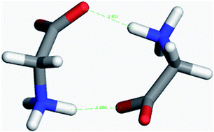 Graphical abstract: Are glycine cyclic dimers stable in aqueous solution?