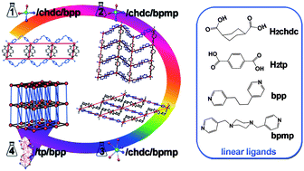 Graphical abstract: From ladder, net to framework: Coordination polymers based on Zn(ii)/Cd(ii) ions and mixed bicarboxyl- and bipyridine-containing linear ligands
