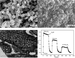 Graphical abstract: Formation, control and functionalization of nanoporous silver through changing dealloying media and elemental doping