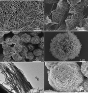 Graphical abstract: Facile synthesis and catalytic properties of CeO2 with tunable morphologies from thermal transformation of cerium benzendicarboxylate complexes