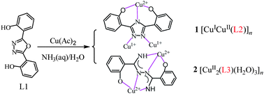 Graphical abstract: Novel ligands and complexes in situ generated from the copper-mediated conversions of 2,5-bis(2-hydroxyphenyl)-1,3,4-oxadiazole: structures and magnetic properties