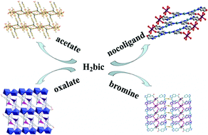 Graphical abstract: Self-assembly of d–f coordination frameworks based on 1H-benzimidazole-5-carboxylic acid: synthesis, structure and luminescence