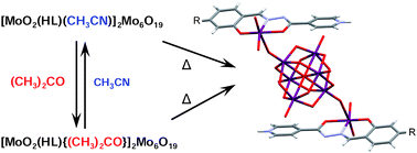 Graphical abstract: Hybrid organic–inorganic compounds based on the Lindqvist polyoxomolybdate and dioxomolybdenum(vi) complexes